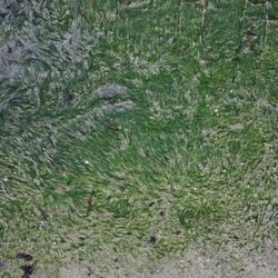 2016-12 France/St Malo/DSC_1038.JPG